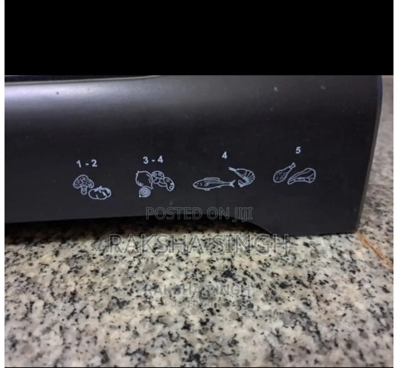 Electric Grill