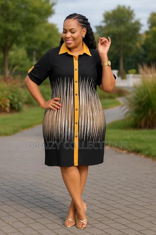 Elegant Shirt Dress