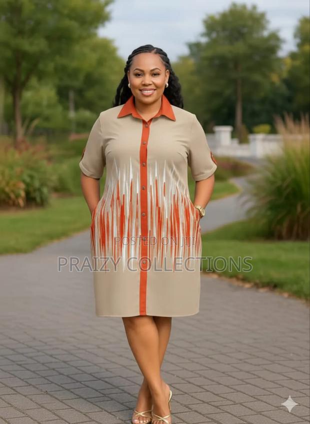 Elegant Shirt Dress - thumbnail 2