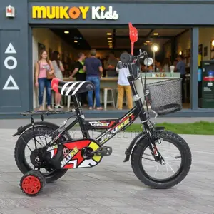 12,14,16 Inch 2–11 Years Kids Colorful Cartoon Bike With Spoke Caps