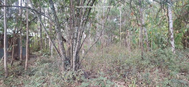 Premier Commercial 100x100 Plot for Sale in Bulbul - thumbnail 5