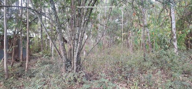 Premier Commercial 100x100 Plot for Sale in Bulbul - thumbnail 6
