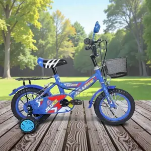 12,14,16 Inch 2–11 Years Kids Strong Frame Bicycle With Front Basket