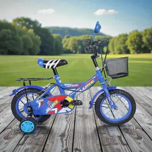 12,14,16 Inch 2–11 Years Children Beautiful Bike With Anti-Slip Tyres