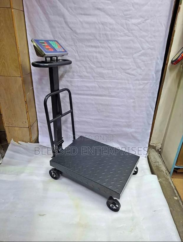 Affordable Platform Weighing 600kg/Platform Scale - main view