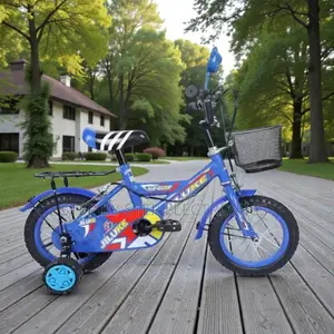 12,14,16 Inch 2–11 Years Kids Colorful Basket Bike With Chrome Rims