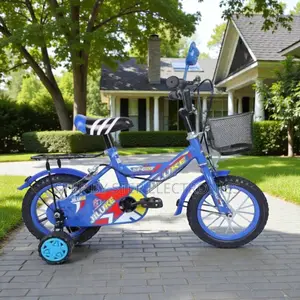 12,14,16 Inch 2–11 Years Children Bike With Training Wheels Grip Tyres