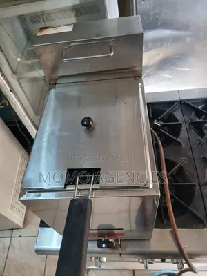 Commercial Single Gas Fryer 17l