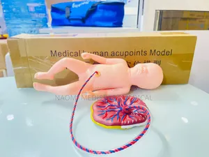 Newborn Baby Model With Placenta/Baby Manikin