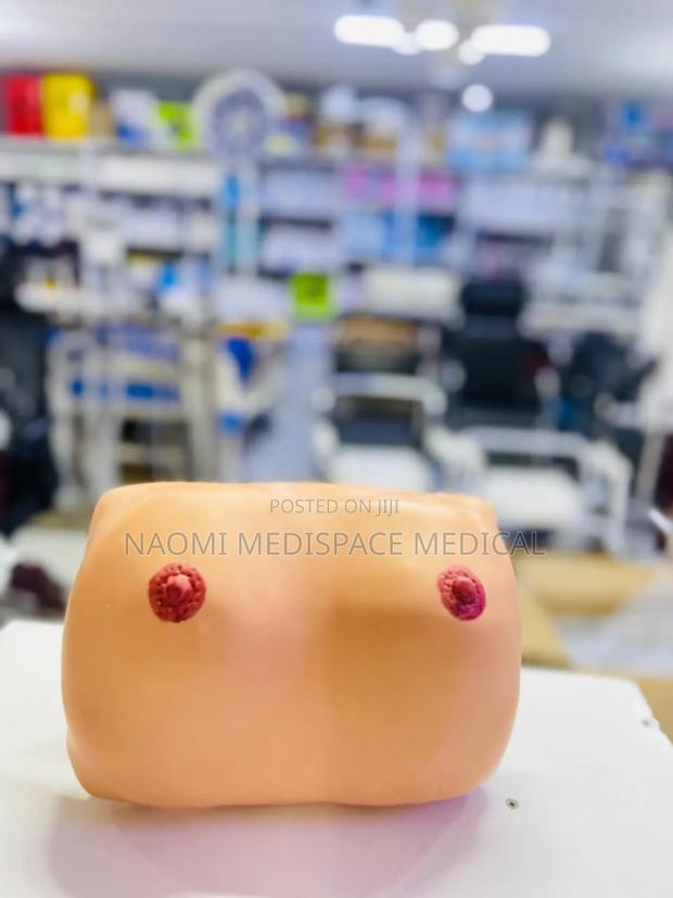 Breast Examination Training Model/Breast Manikin - main view