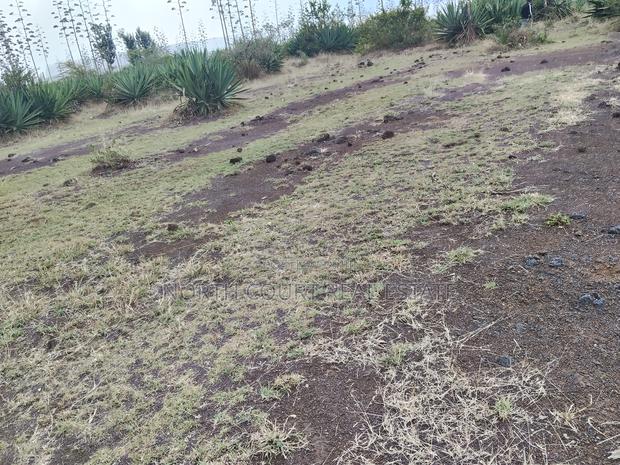 Prime Residential Plot in Juja - thumbnail 3