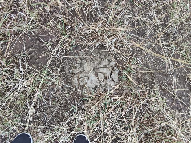 Prime Residential Plot in Juja - thumbnail 4