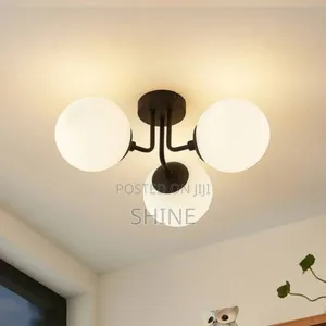 3 Hold Ceiling Light
