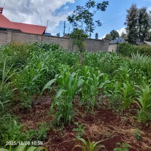 50 X 100 Kasphat Estate, Kiambu - main view
