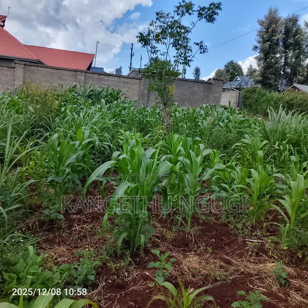 50 X 100 Kasphat Estate, Kiambu