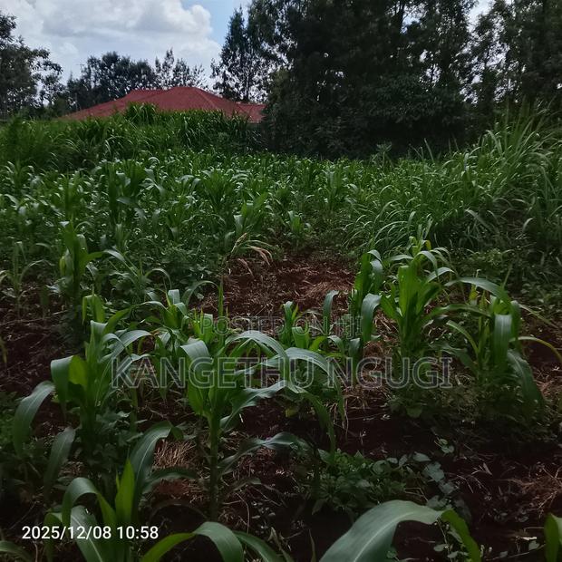 50 X 100 Kasphat Estate, Kiambu - thumbnail 2