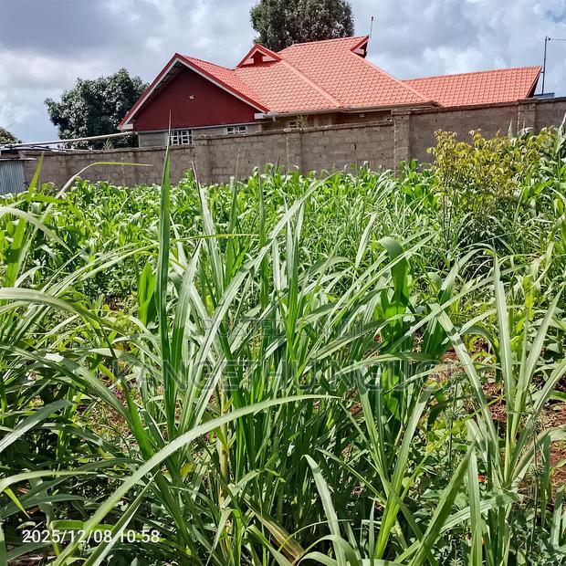 50 X 100 Kasphat Estate, Kiambu - thumbnail 4