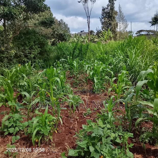 50 X 100 Kasphat Estate, Kiambu - thumbnail 5