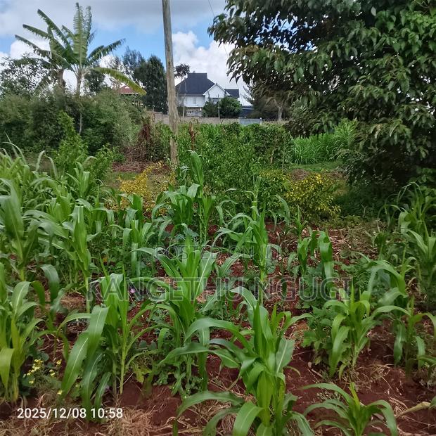 50 X 100 Kasphat Estate, Kiambu - thumbnail 6