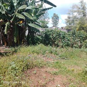 100x100 Residential Plot at Kasphat Estate - main view