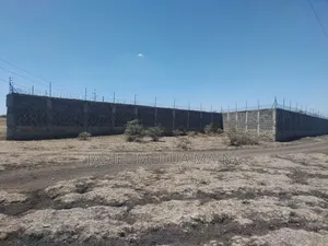 Prime Land for Sale