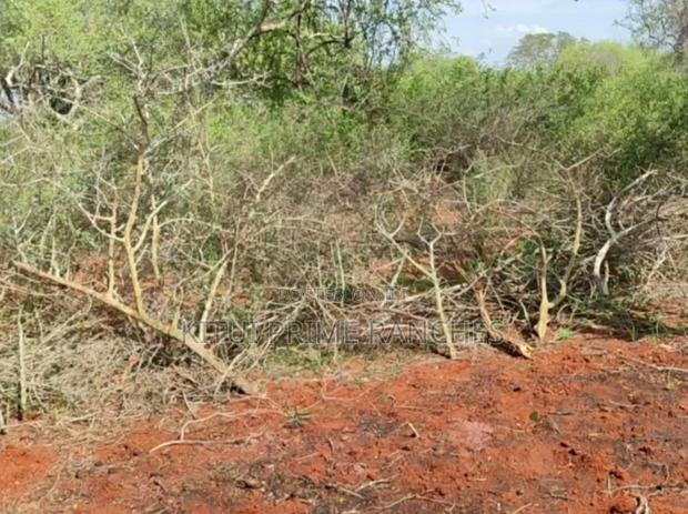 84 Acres For Sale In Mutha At 42k Per Acre. - thumbnail 2