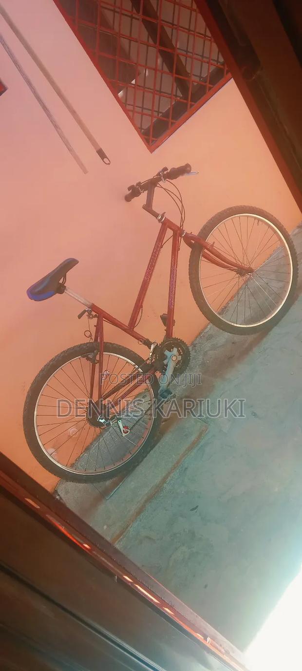 Adult Bicycle - main view