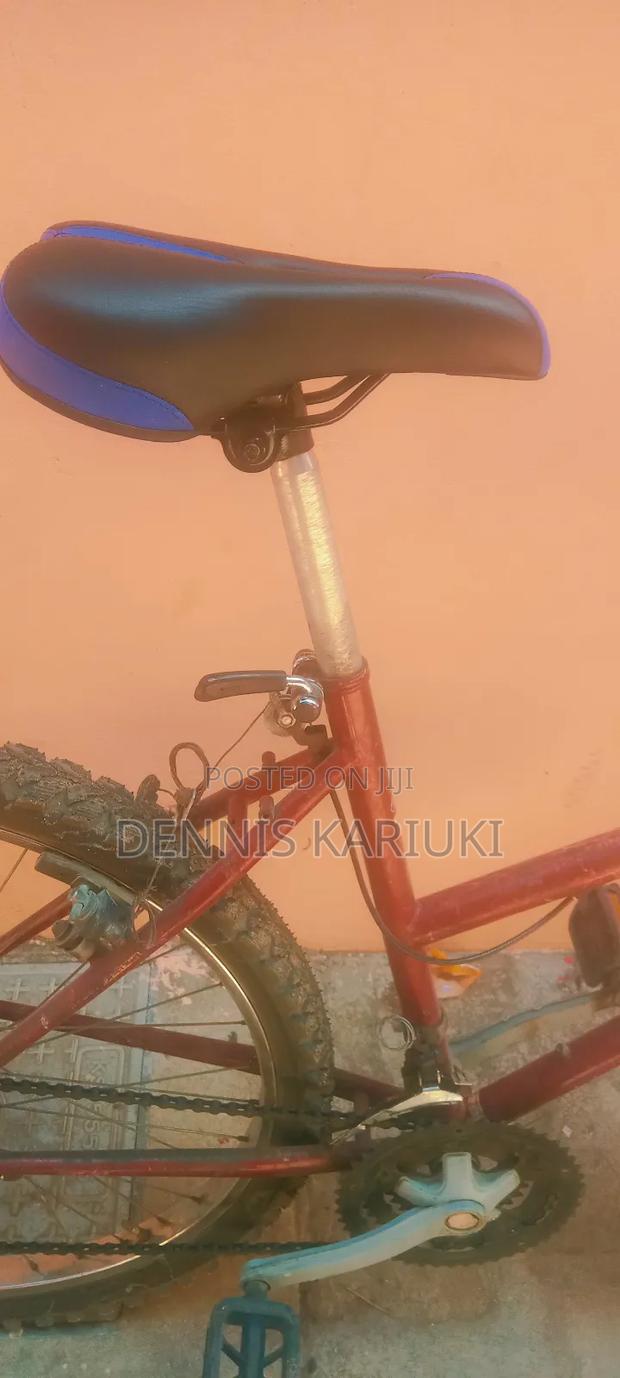 Adult Bicycle - thumbnail 3