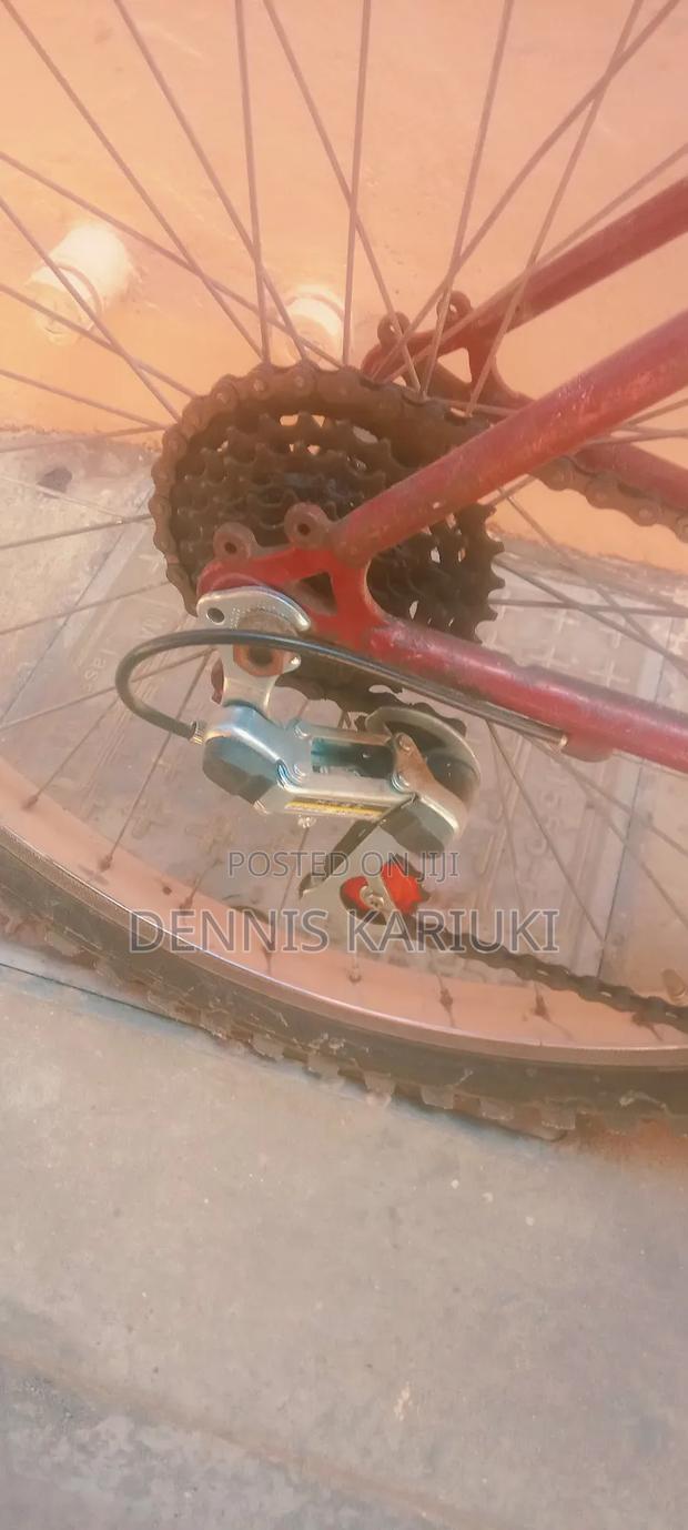 Adult Bicycle - thumbnail 4