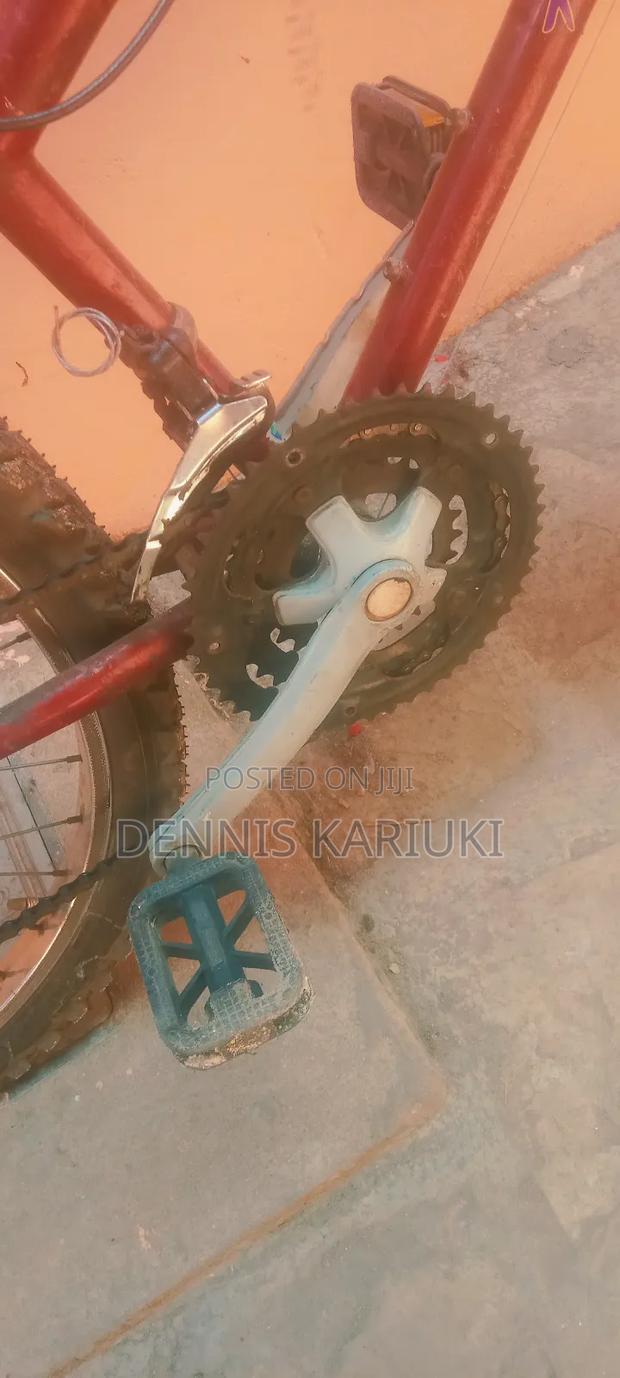 Adult Bicycle - thumbnail 5