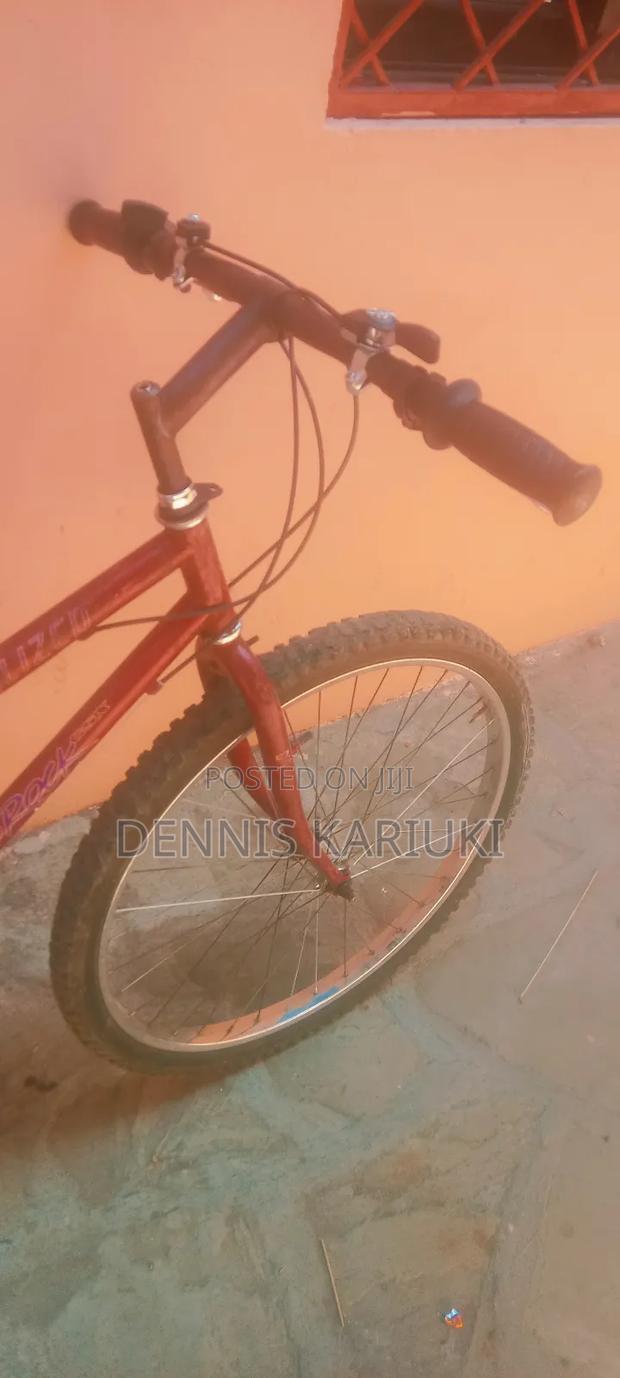 Adult Bicycle - thumbnail 6