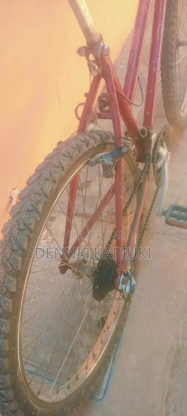 Adult Bicycle - thumbnail 7