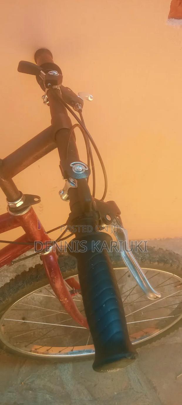 Adult Bicycle - thumbnail 8