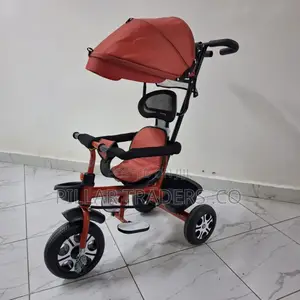 Kids Push Tricycle With Canopy