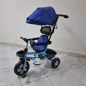 Kids Push Tricycle With Canopy