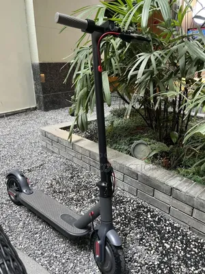 Foldable Electric Scooter for Kids Adults