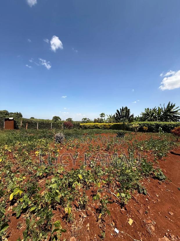Prime 1⁄2 Acre Gated Community Plot in Kiambu Near Tatu City - thumbnail 4
