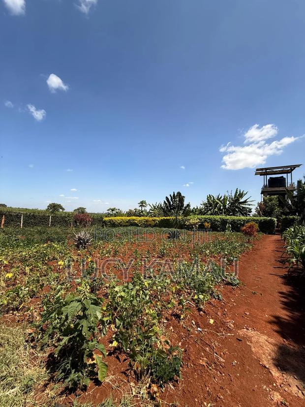 Prime 1⁄2 Acre Gated Community Plot in Kiambu Near Tatu City - thumbnail 5
