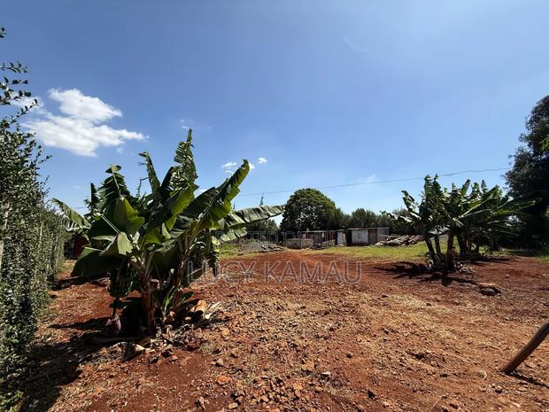 Prime 1⁄2 Acre Gated Community Plot in Kiambu Near Tatu City - thumbnail 8