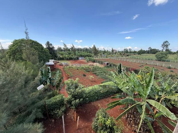Prime 1⁄2 Acre Gated Community Plot in Kiambu Near Tatu City - thumbnail 11