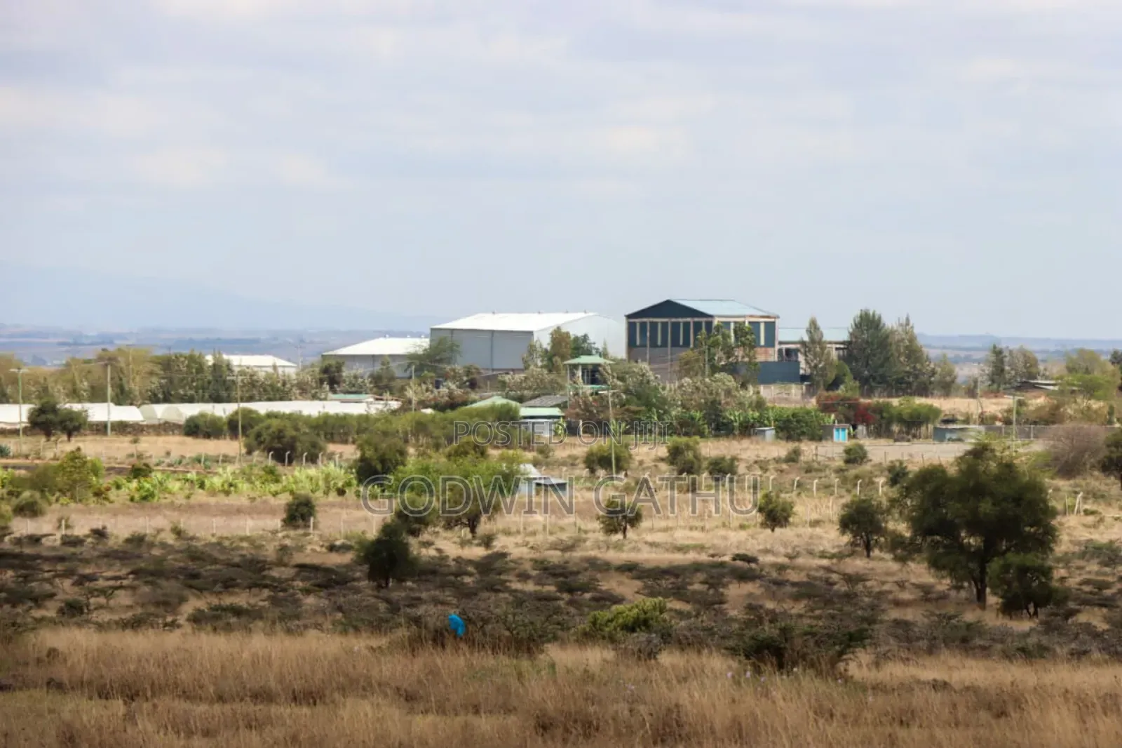 Prime 1/8th Acre Affordable Plots in Isinya