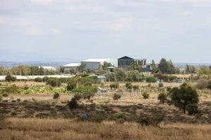Prime 1/8th Acre Affordable Plots in Isinya