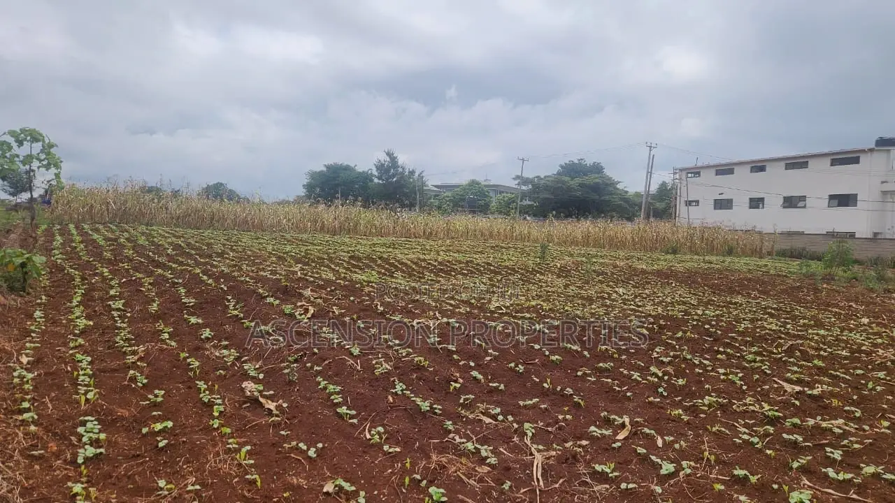 New Kitisuru 4 Acres Available
