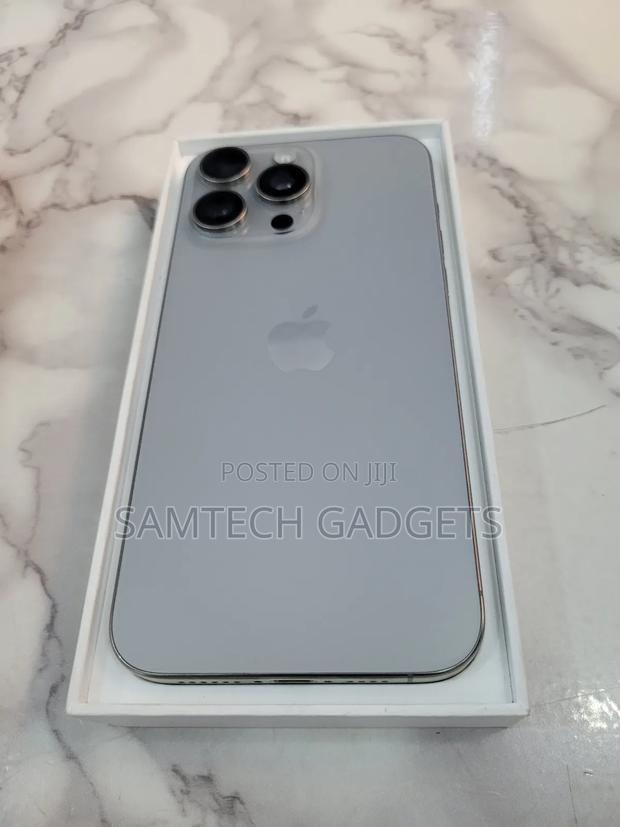 Apple iPhone 15 Pro Max 256 GB Silver - thumbnail 3