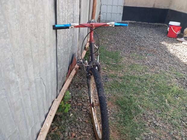 Mountain Bike - thumbnail 3