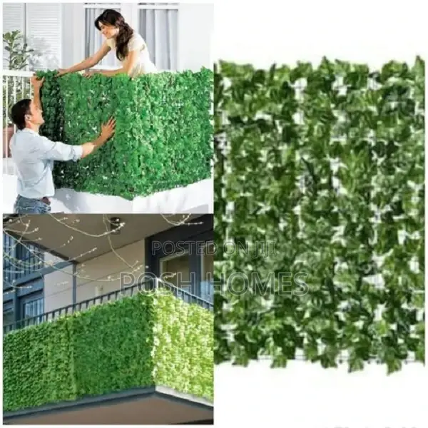 Hedge Privacy Rolls 3m by 1m