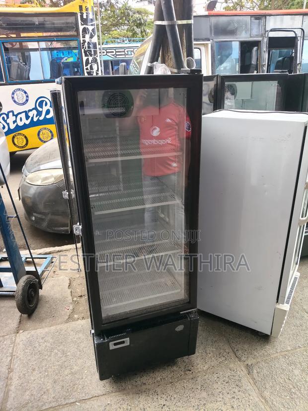 Modern 300litres Display Fridge - main view
