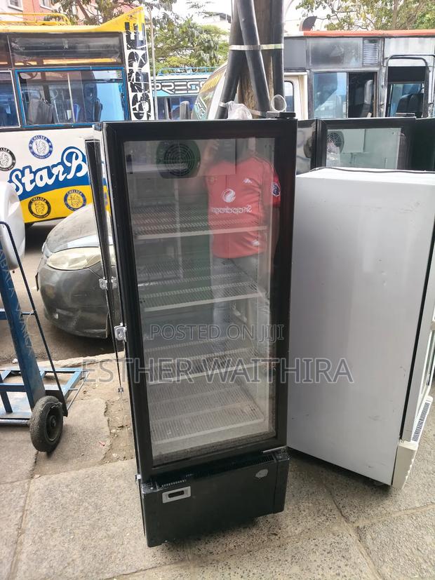 Modern 300litres Display Fridge - thumbnail 2