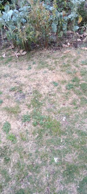 Property for Sale - thumbnail 2