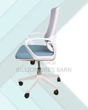 Swivel Mesh Ergonomic — Office Chair | Same-Day Delivery Available